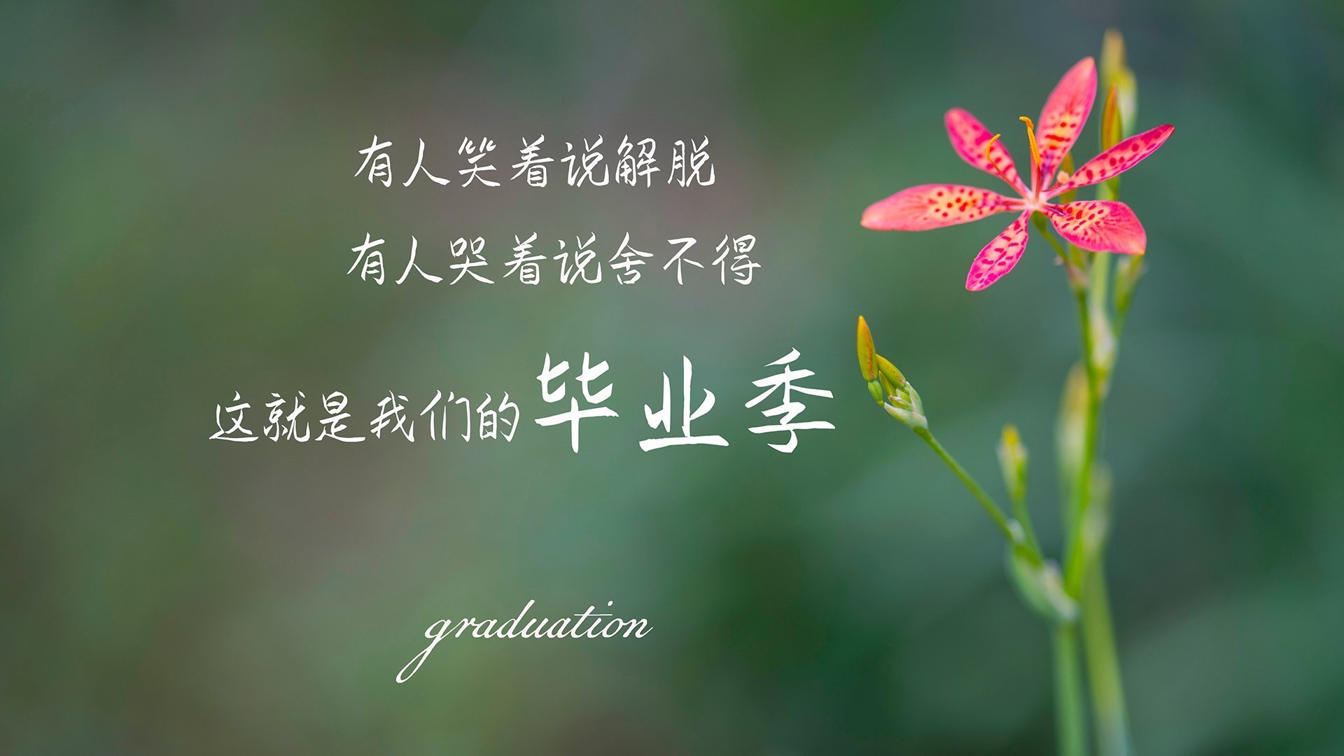 _勇士队团队合作再升级，战斗力提升_，勇士队伍