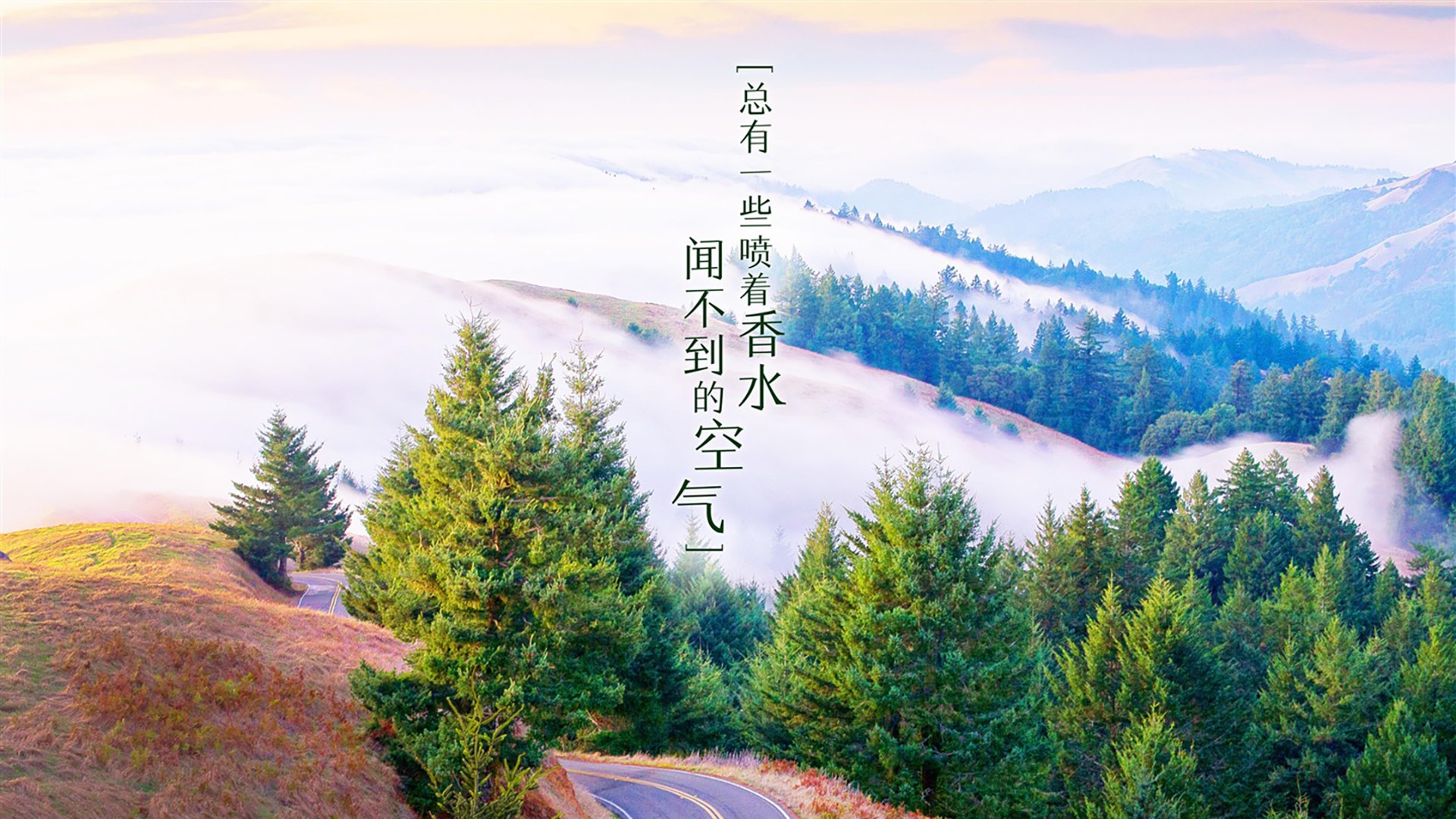 _知名企业冠名：商业合作推动运动普及_，商业合作的意思