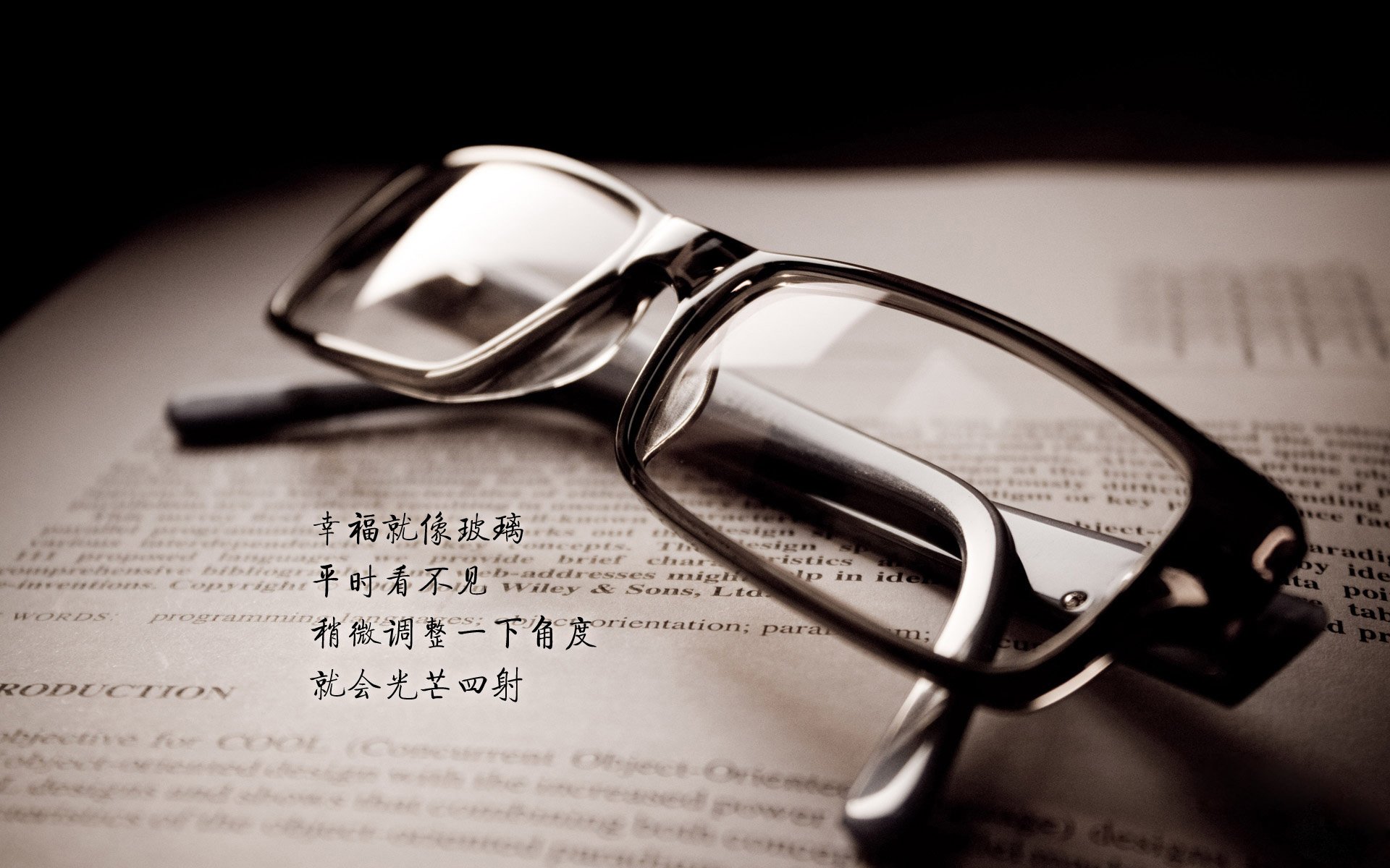 运动员技能发展规划方案，运动员技术能力及其训练