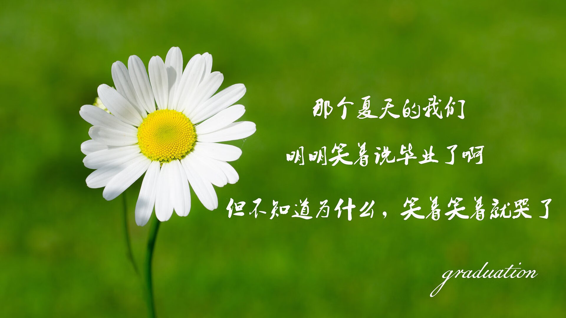 Palmer冷静射门展现顶级前锋特质，冷静属性