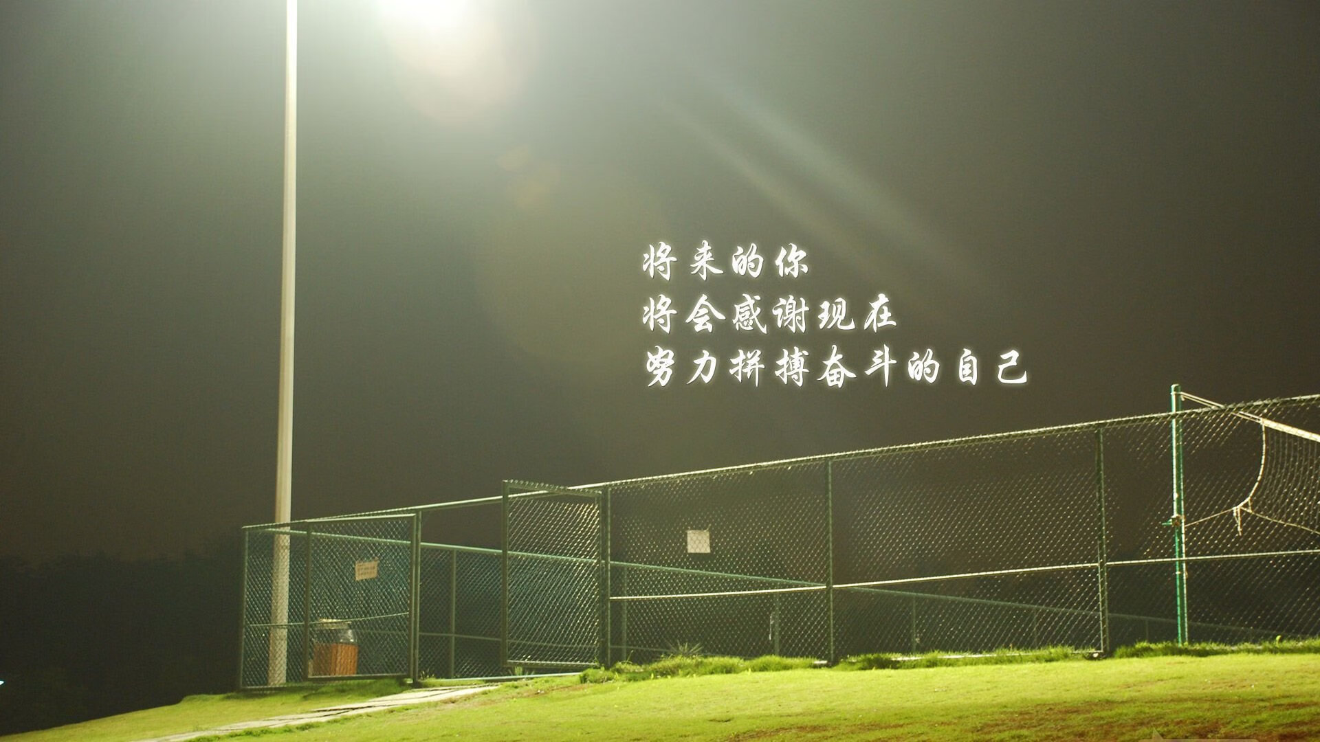 男子蛙泳前25米分段表现差距明显，男子蛙泳100m