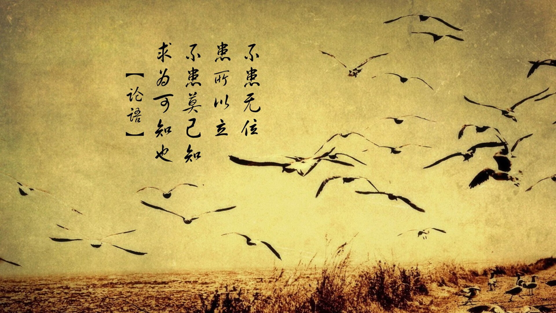 节奏主导权是否是比赛胜负的决定因素，比赛节奏的概念