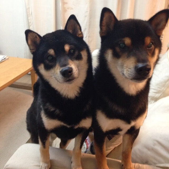 李冰洁冲刺阶段表现令人惊艳，李冰洁训练视频