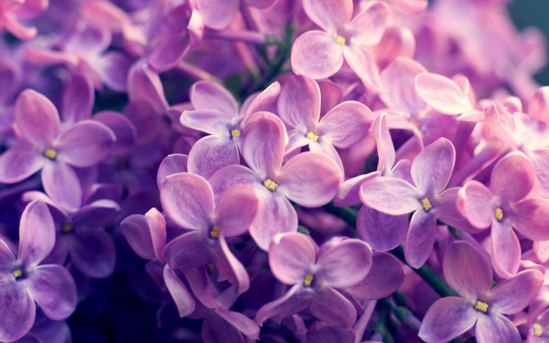 球员罚球仪式创新，引入家庭成员参与环节，罚球时,罚球队员持球不能超过几秒