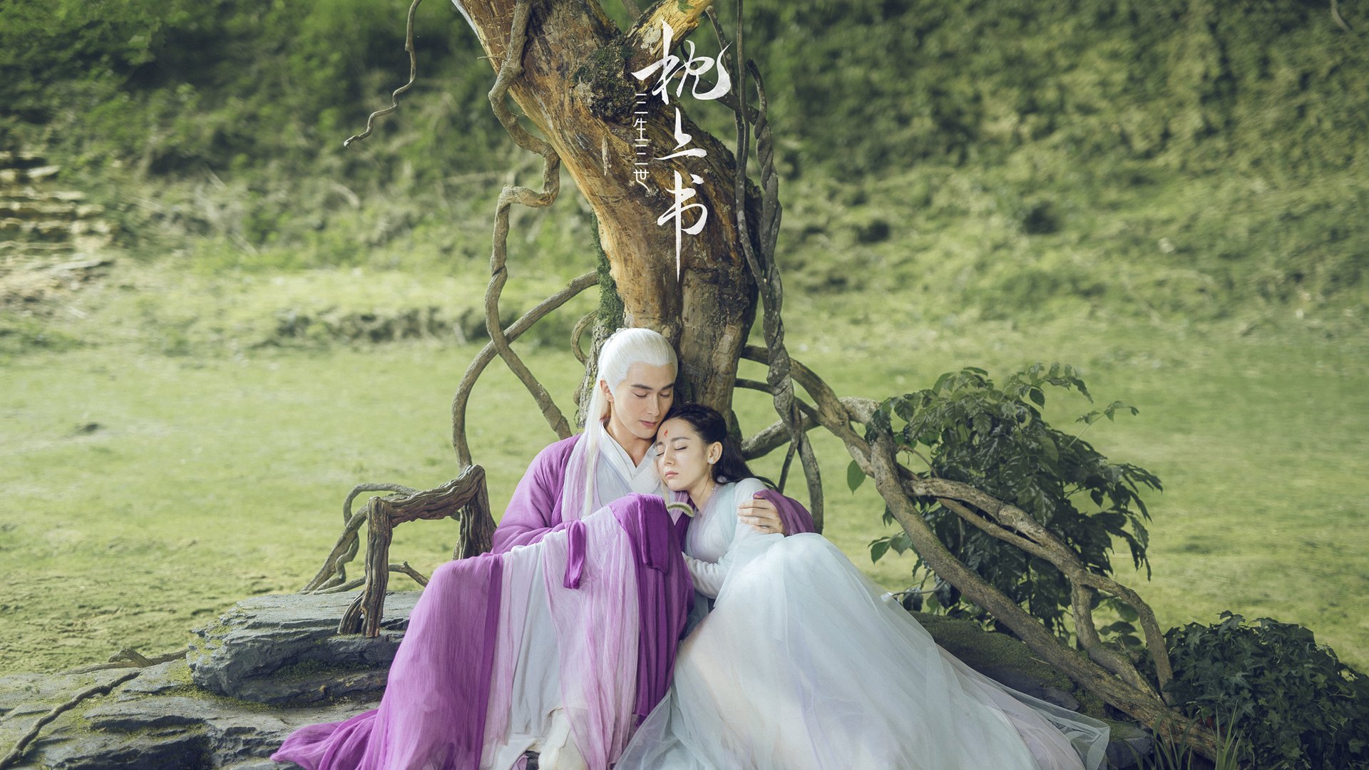 B体育亚洲官方网站-谢佩玲跳台表现成赛场焦点，谢佩璇个人资料