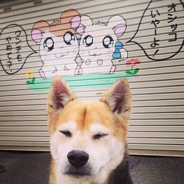 B体育APP下载网址-陈艺文笑对胜负展运动员风采，陈艺文教练是谁